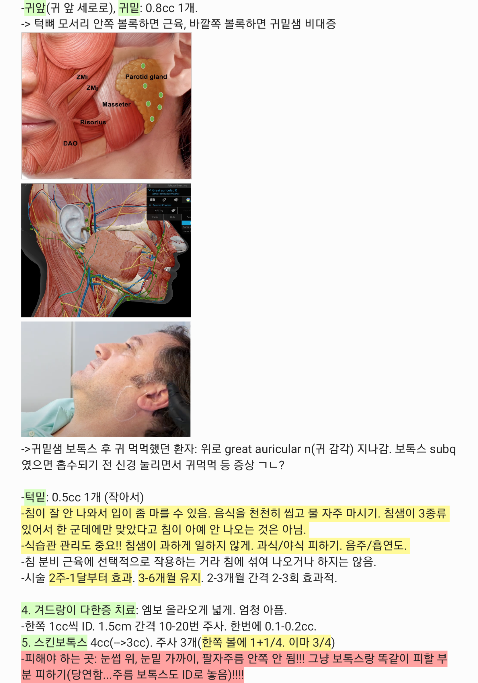 침샘 해부학 + 시술 사진